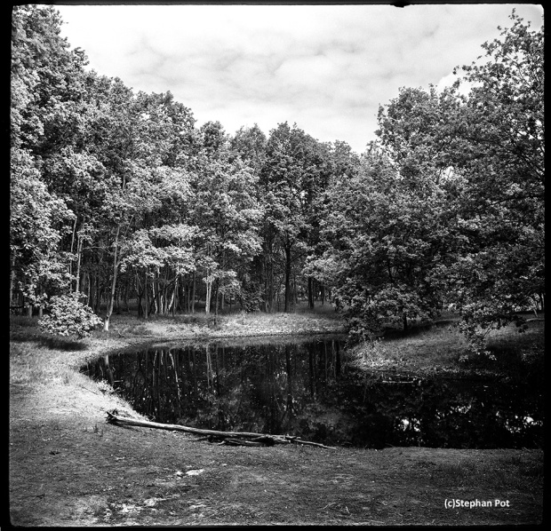 Pond (2015) Kiev 6C with 60mm and loaded with Ilford HP5 Plus